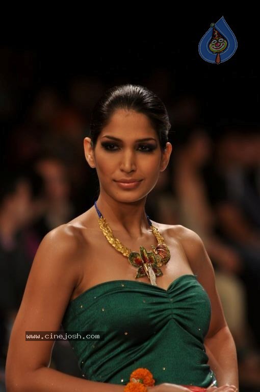 Celebs Walks the Ramp at IIJW 2012 - 56 / 297 photos