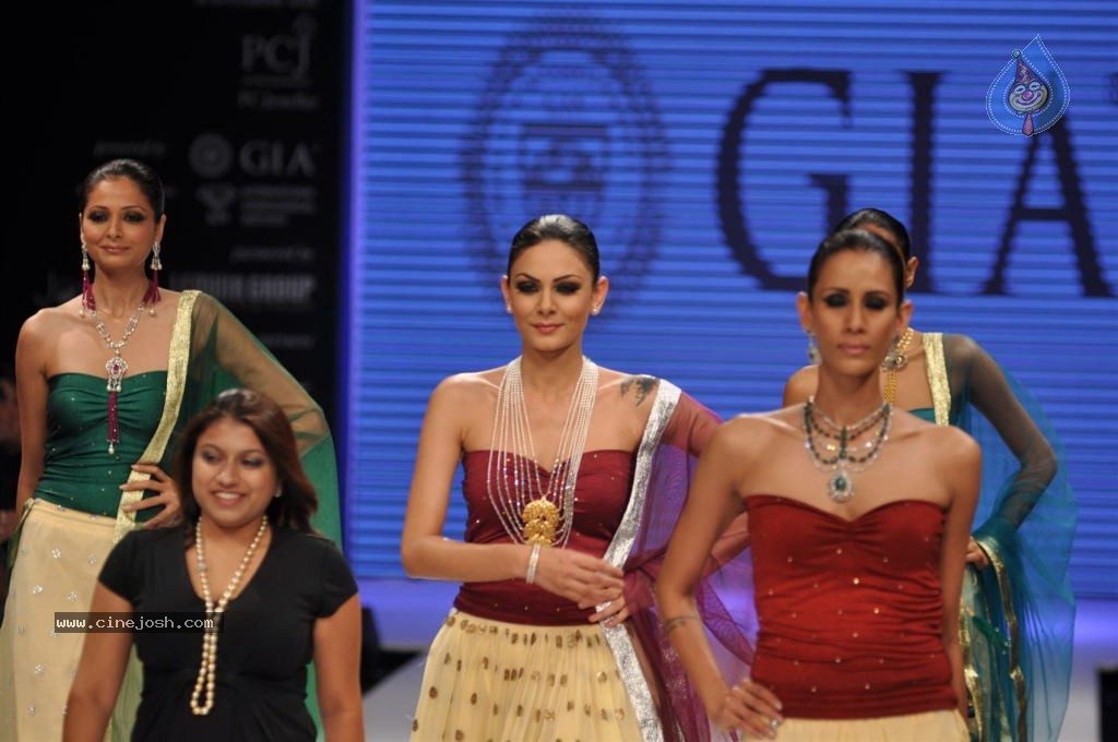 Celebs Walks the Ramp at IIJW 2012 - 60 / 297 photos