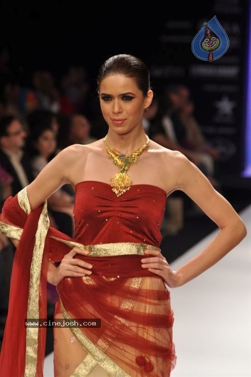 Celebs Walks the Ramp at IIJW 2012 - 81 / 297 photos