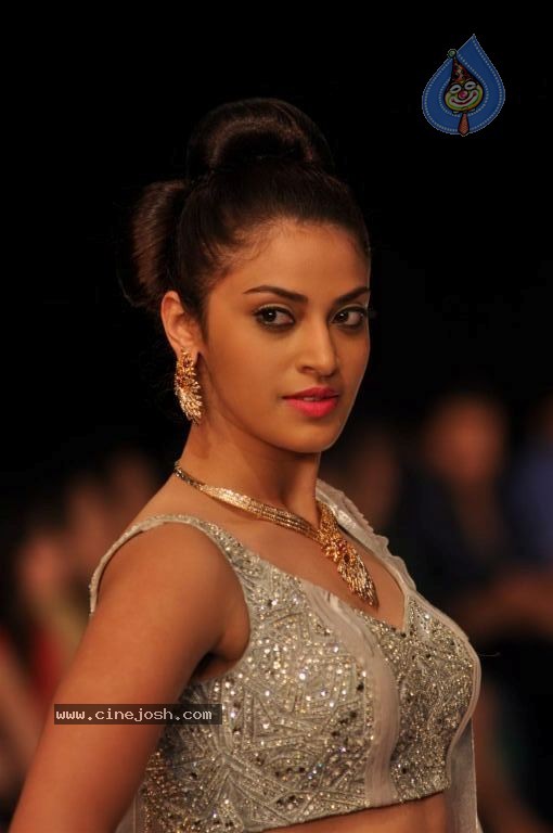 Celebs Walks the Ramp at IIJW 2012 - 82 / 297 photos