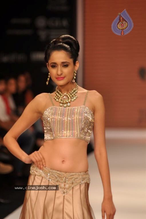 Celebs Walks the Ramp at IIJW 2012 - 88 / 297 photos