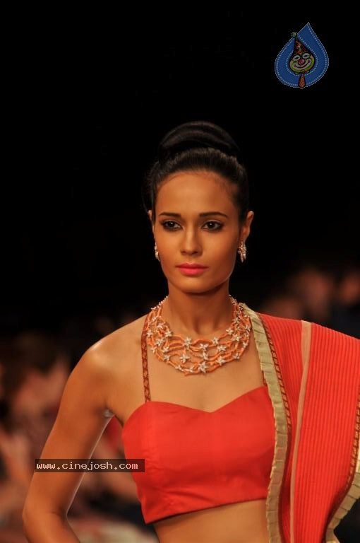 Celebs Walks the Ramp at IIJW 2012 - 89 / 297 photos