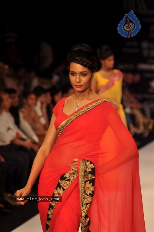 Celebs Walks the Ramp at IIJW 2012 - 96 / 297 photos