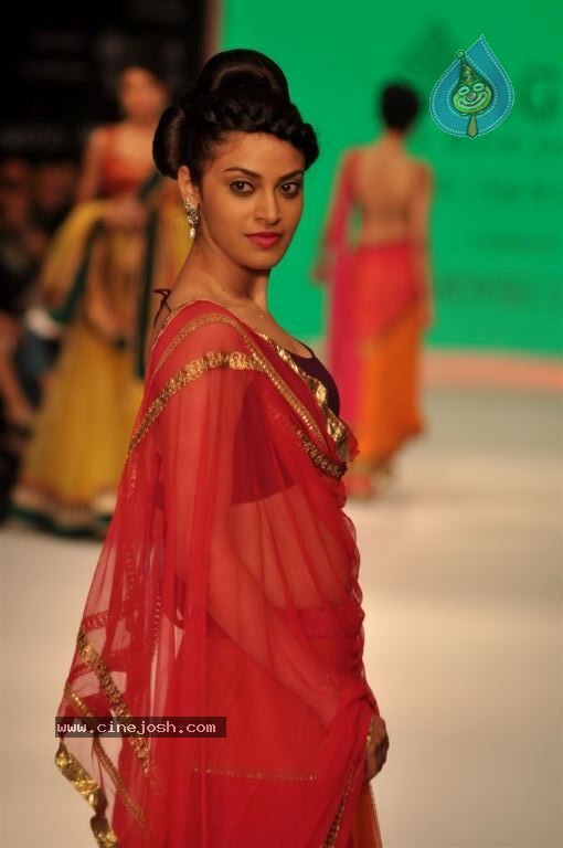 Celebs Walks the Ramp at IIJW 2012 - 99 / 297 photos