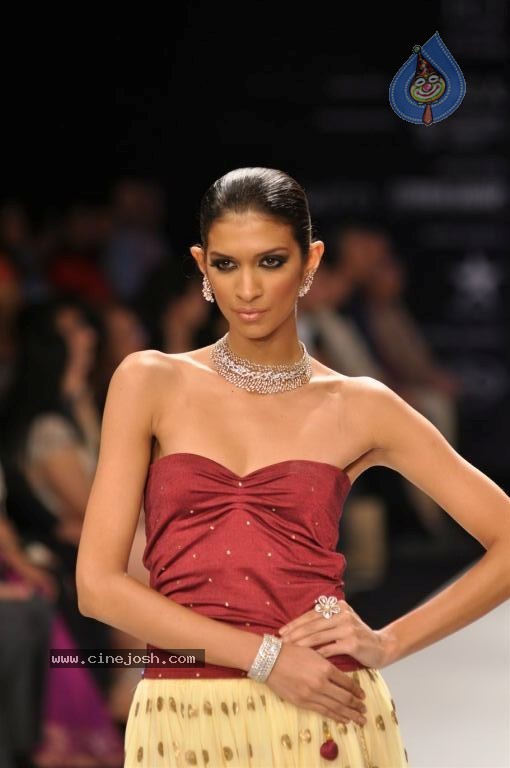 Celebs Walks the Ramp at IIJW 2012 - 108 / 297 photos