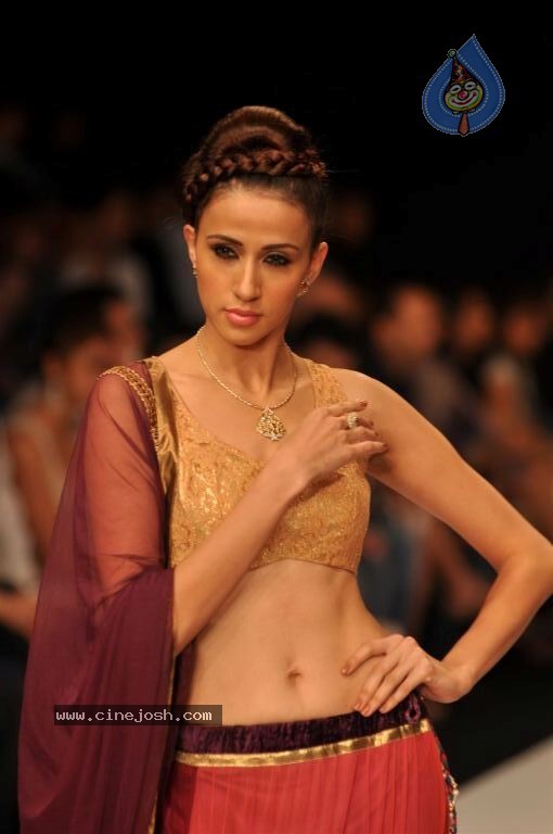 Celebs Walks the Ramp at IIJW 2012 - 114 / 297 photos