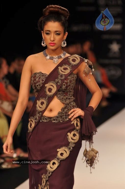 Celebs Walks the Ramp at IIJW 2012 - 115 / 297 photos