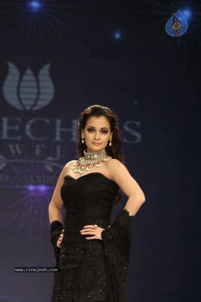 Celebs Walks the Ramp at IIJW 2012 - 127 / 297 photos