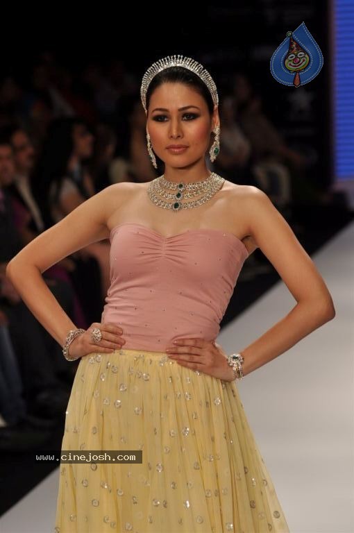 Celebs Walks the Ramp at IIJW 2012 - 134 / 297 photos