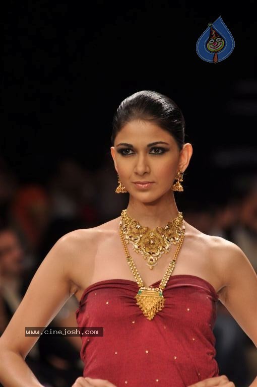 Celebs Walks the Ramp at IIJW 2012 - 144 / 297 photos