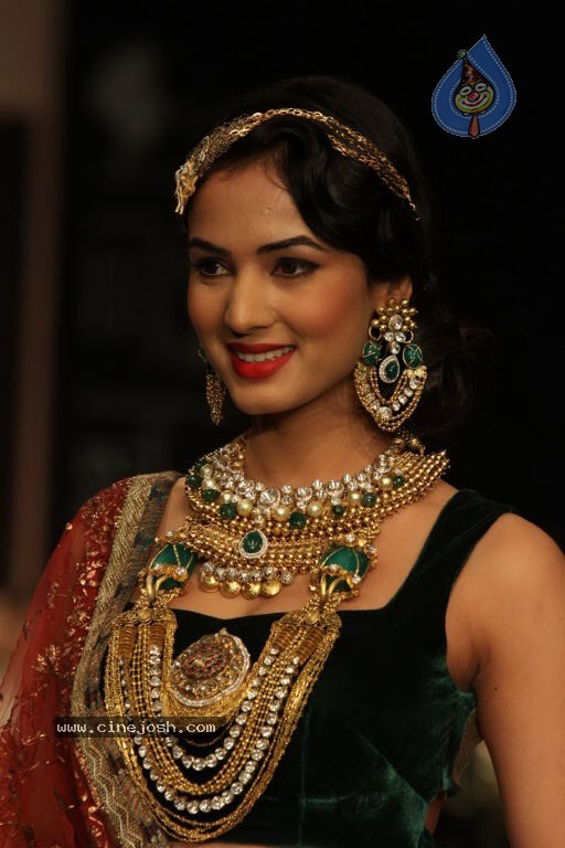 Celebs Walks the Ramp at IIJW 2012 - 159 / 297 photos
