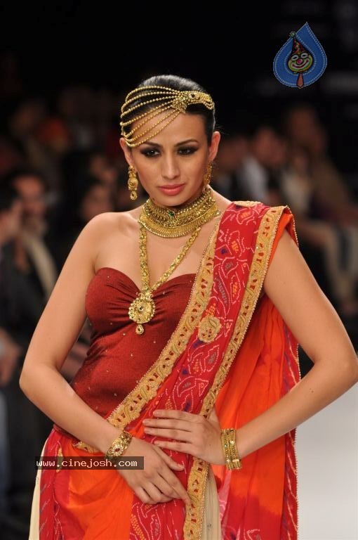 Celebs Walks the Ramp at IIJW 2012 - 170 / 297 photos