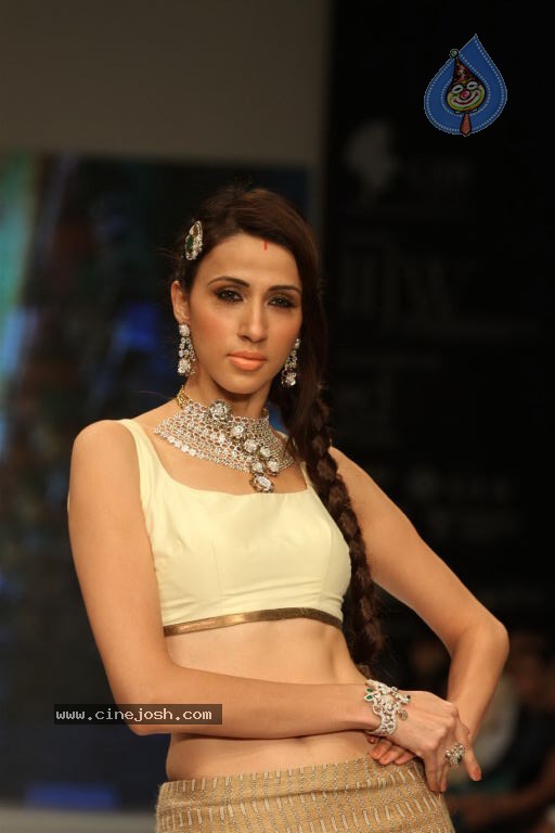 Celebs Walks the Ramp at IIJW 2012 - 174 / 297 photos