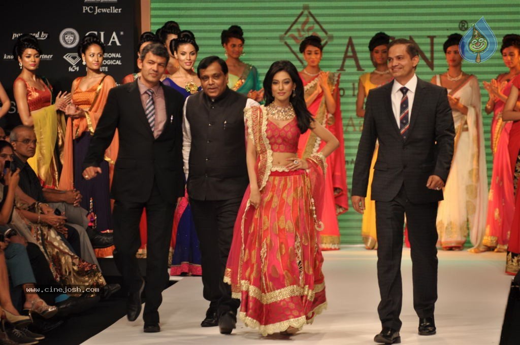 Celebs Walks the Ramp at IIJW 2012 - 176 / 297 photos