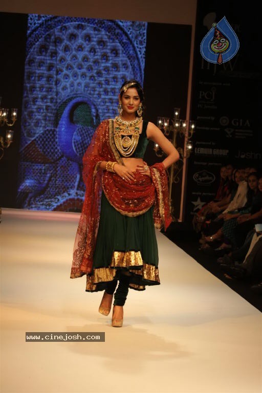 Celebs Walks the Ramp at IIJW 2012 - 178 / 297 photos