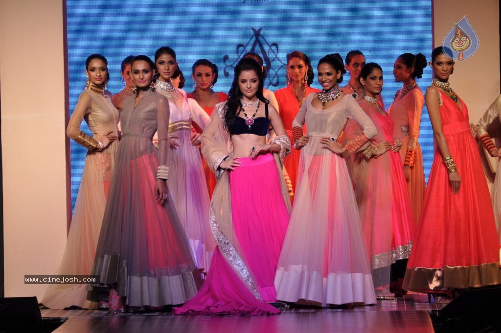 Celebs Walks the Ramp at IIJW 2012 - 185 / 297 photos