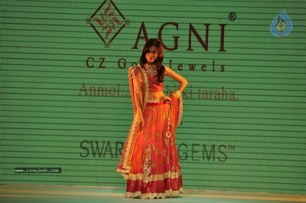 Celebs Walks the Ramp at IIJW 2012 - 186 / 297 photos