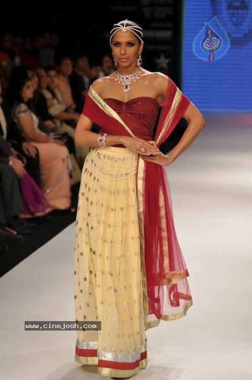 Celebs Walks the Ramp at IIJW 2012 - 189 / 297 photos