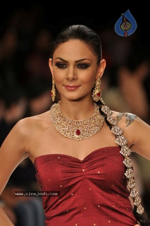 Celebs Walks the Ramp at IIJW 2012 - 200 / 297 photos