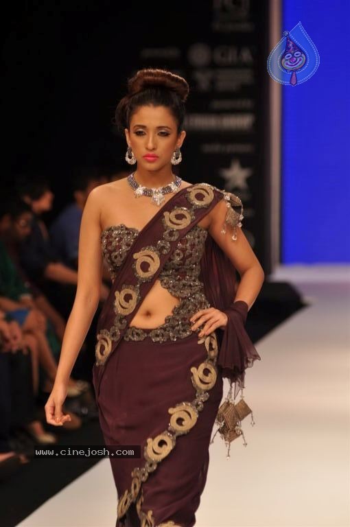 Celebs Walks the Ramp at IIJW 2012 - 205 / 297 photos