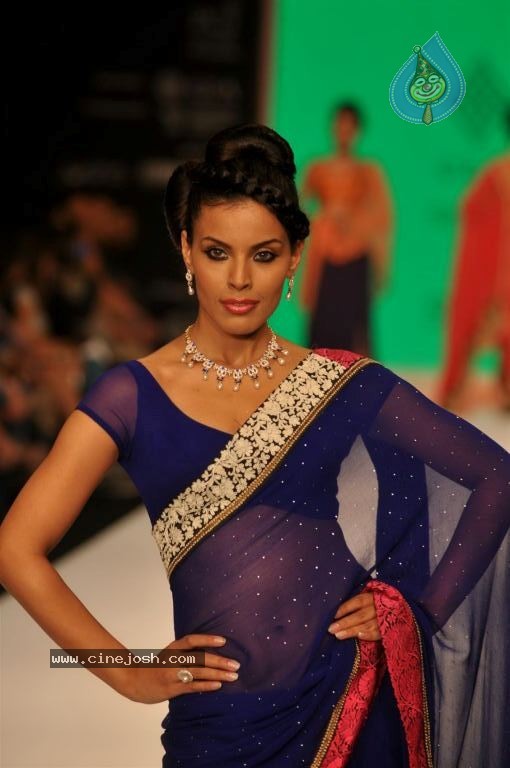 Celebs Walks the Ramp at IIJW 2012 - 219 / 297 photos