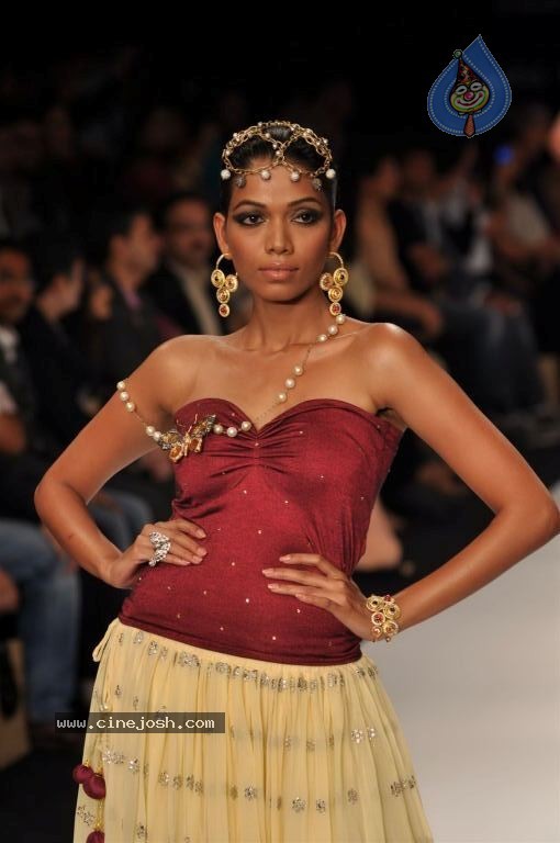 Celebs Walks the Ramp at IIJW 2012 - 231 / 297 photos