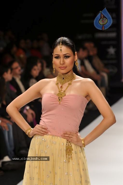 Celebs Walks the Ramp at IIJW 2012 - 239 / 297 photos