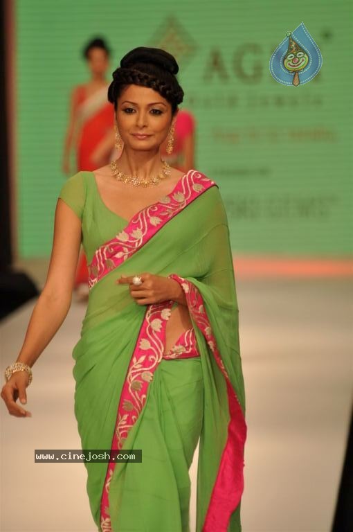Celebs Walks the Ramp at IIJW 2012 - 243 / 297 photos