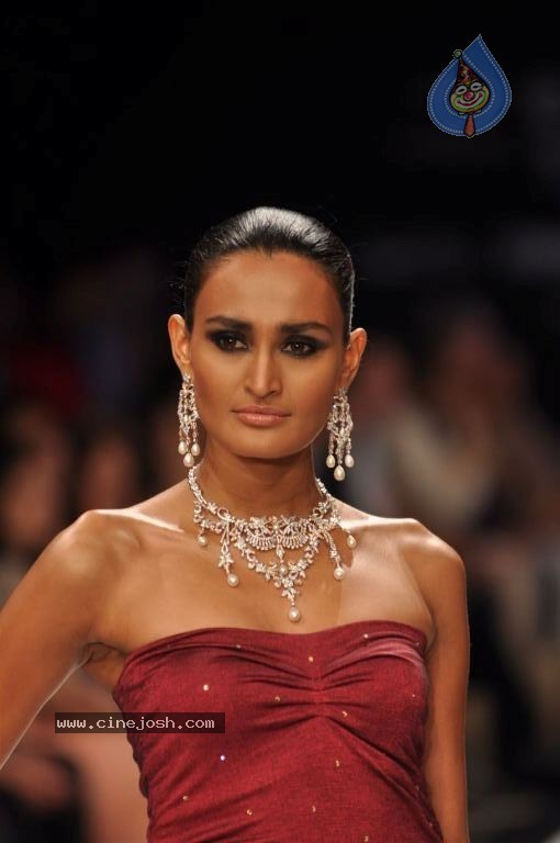 Celebs Walks the Ramp at IIJW 2012 - 244 / 297 photos