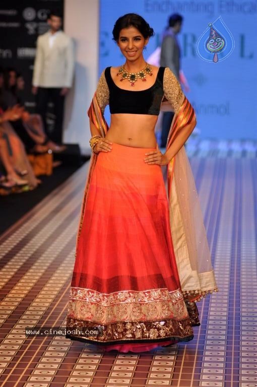 Celebs Walks the Ramp at IIJW 2012 - 250 / 297 photos