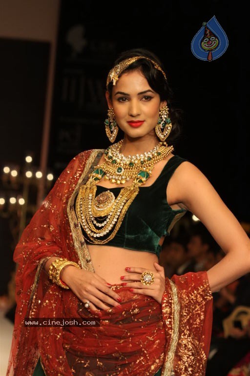 Celebs Walks the Ramp at IIJW 2012 - 251 / 297 photos