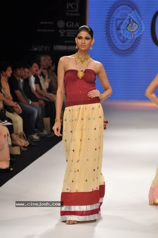 Celebs Walks the Ramp at IIJW 2012 - 254 / 297 photos