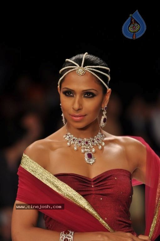 Celebs Walks the Ramp at IIJW 2012 - 273 / 297 photos