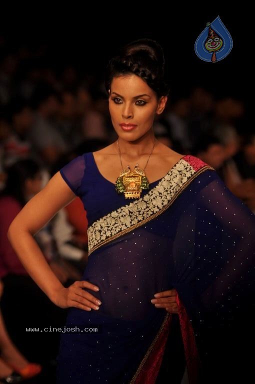 Celebs Walks the Ramp at IIJW 2012 - 275 / 297 photos