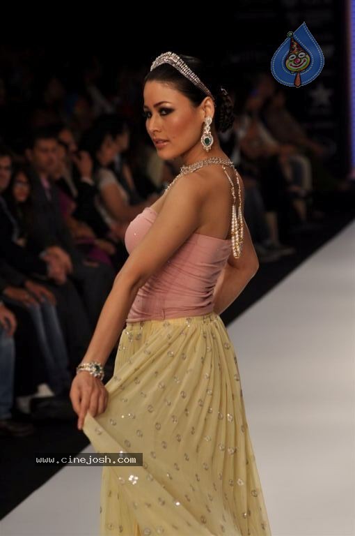 Celebs Walks the Ramp at IIJW 2012 - 280 / 297 photos