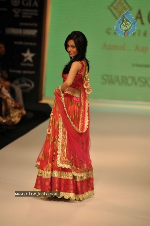 Celebs Walks the Ramp at IIJW 2012 - 289 / 297 photos