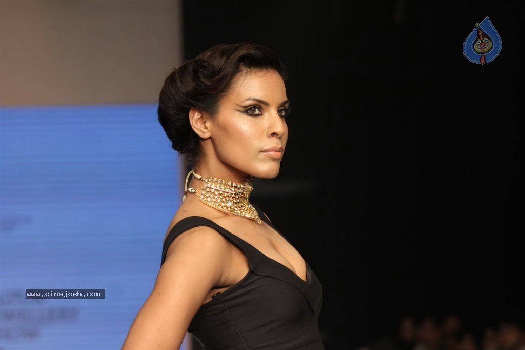 Celebs Walks the Ramp at IIJW 2012 - 295 / 297 photos