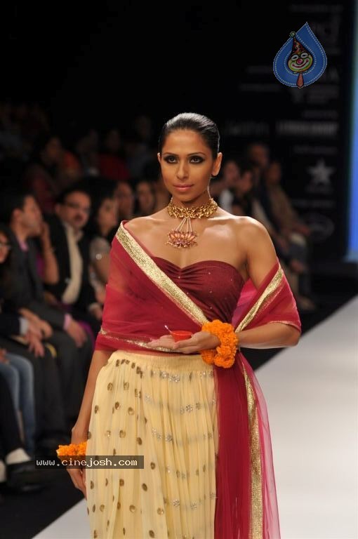 Celebs Walks the Ramp at IIJW 2012 - 297 / 297 photos