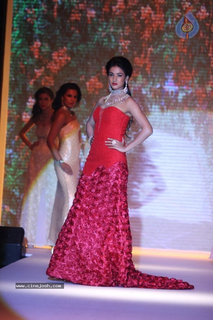 Celebs Walks the Ramp at IIJW 2013 Day 4 - 13 / 129 photos