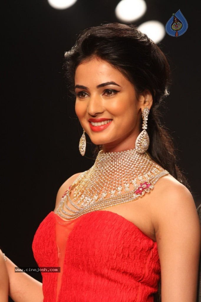 Celebs Walks the Ramp at IIJW 2013 Day 4 - 24 / 129 photos