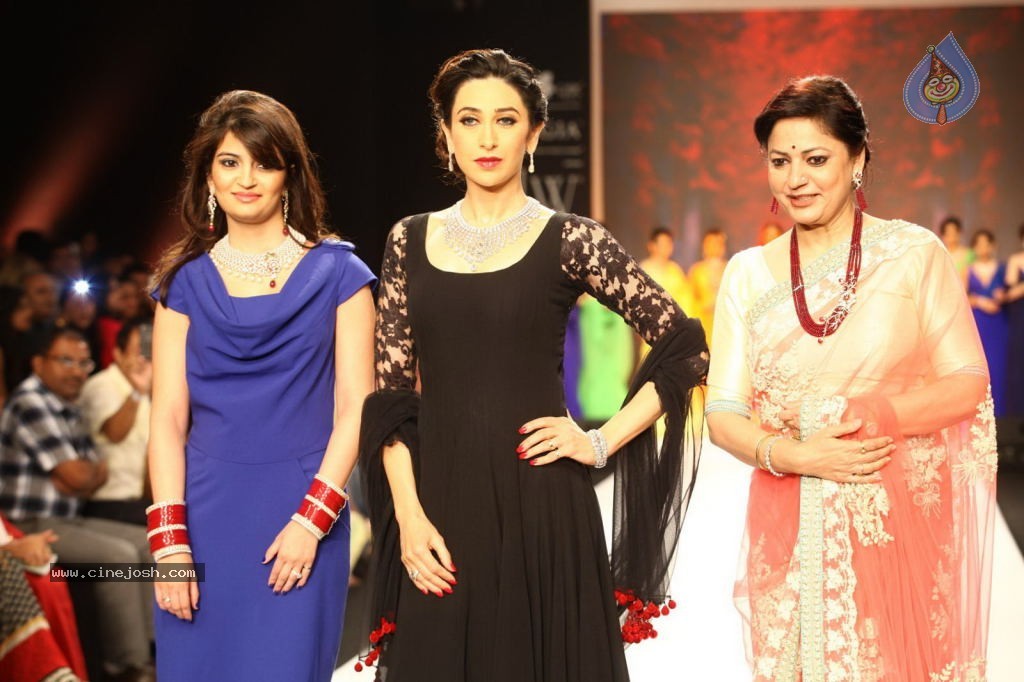 Celebs Walks the Ramp at IIJW 2013 Day 4 - 27 / 129 photos