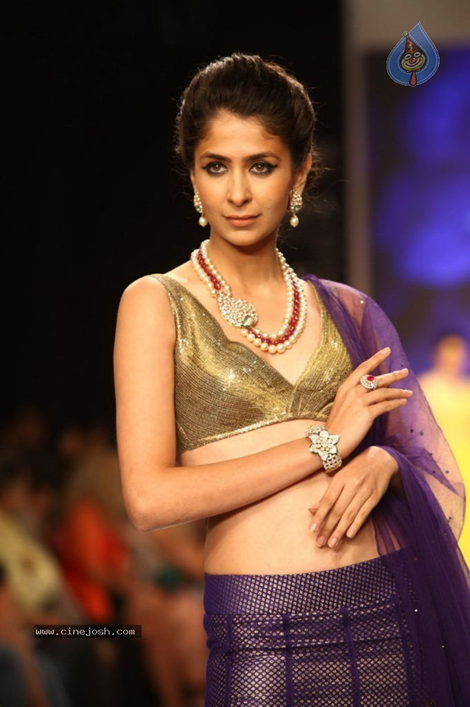 Celebs Walks the Ramp at IIJW 2013 Day 4 - 29 / 129 photos