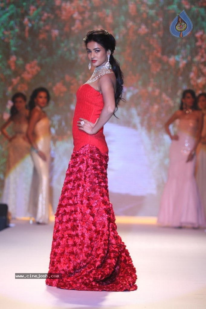 Celebs Walks the Ramp at IIJW 2013 Day 4 - 30 / 129 photos