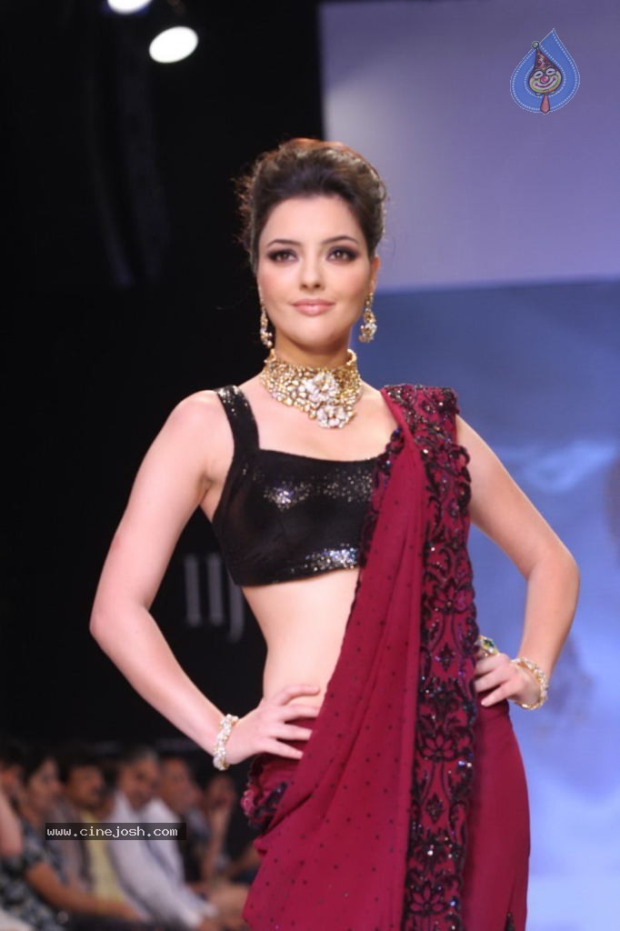 Celebs Walks the Ramp at IIJW 2013 Day 4 - 33 / 129 photos