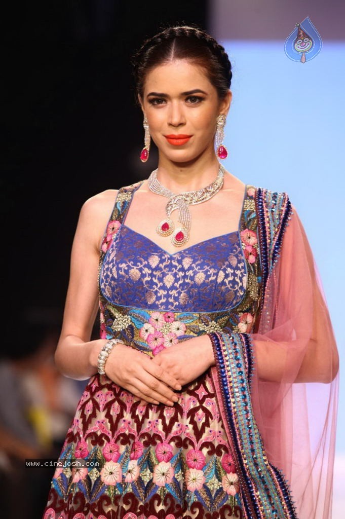 Celebs Walks the Ramp at IIJW 2013 Day 4 - 34 / 129 photos