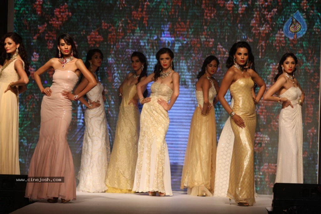 Celebs Walks the Ramp at IIJW 2013 Day 4 - 38 / 129 photos