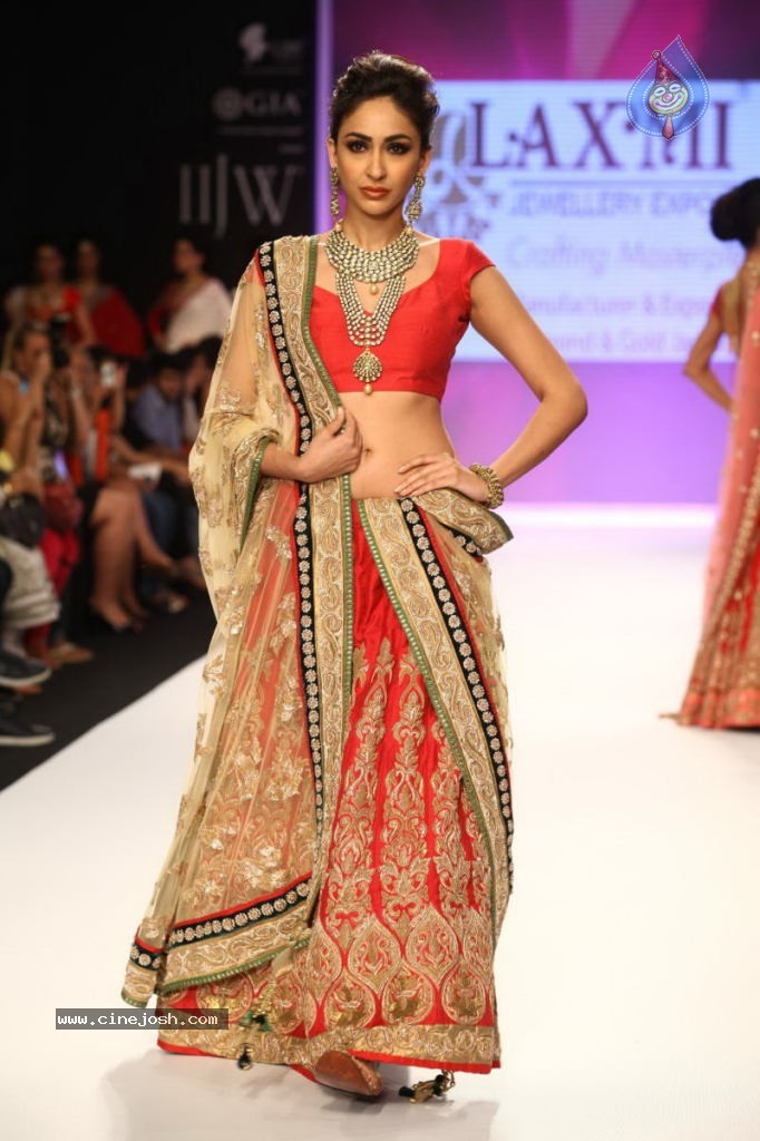 Celebs Walks the Ramp at IIJW 2013 Day 4 - 41 / 129 photos
