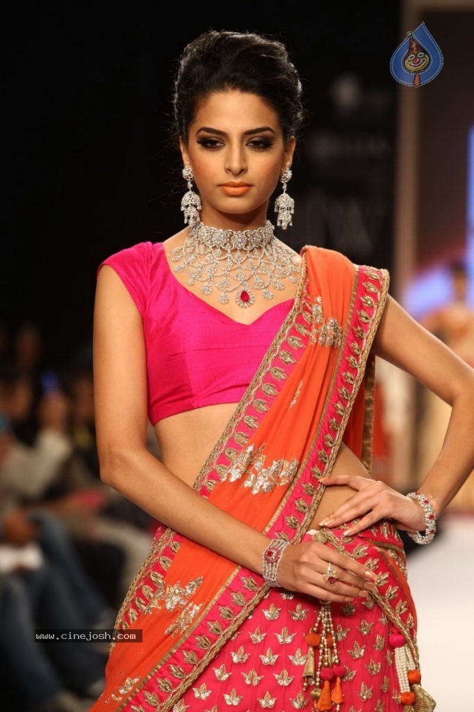 Celebs Walks the Ramp at IIJW 2013 Day 4 - 56 / 129 photos