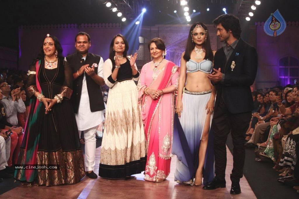 Celebs Walks the Ramp at IIJW 2013 Day 4 - 68 / 129 photos