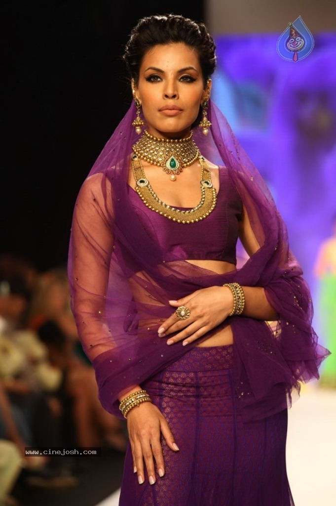 Celebs Walks the Ramp at IIJW 2013 Day 4 - 69 / 129 photos